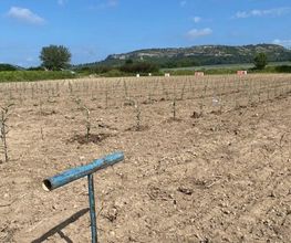 AGRI REA image 3