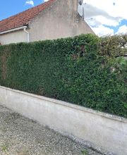 Pinto Manuel image 2