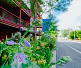 Matter Garten AG Bild 5