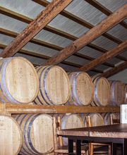 Gallery Professionale