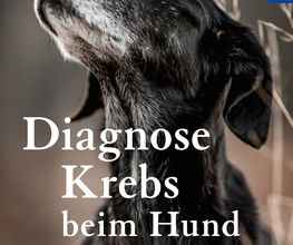 Krebs beim Hund Bild 2