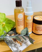 Le Salon Végétal image 2