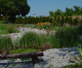 LEDER Garten- + Landschaftsbau Bild 6