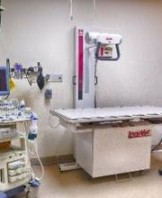 Animal Urgent Care image 10