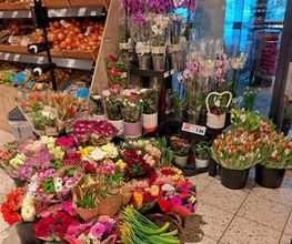 EDEKA Kaden/Seidel Bild 1