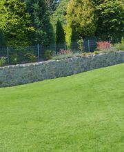 Stark im Garten Bild 31