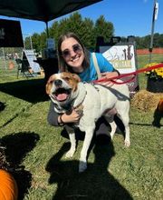 Spa Paw & Tail Premier Pet Resort image 7