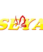 Seya Informatique image 1