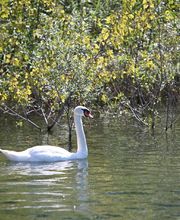 Camping Rivabella Bild 5