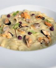 Gallery Professionale