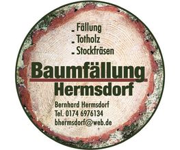 Bernhard Hermsdorf Baumfällungen Bild 1