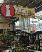 Gartencenter HORNBACH Galgenen Bild 1