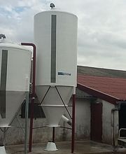 Bearn Polyester image 2