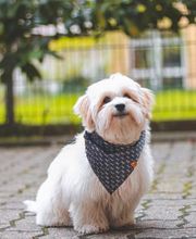 Willi Meyer GmbH Bild 5