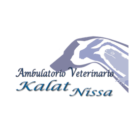 Veterinario Dr. Stefania Turco Ambulatorio Kalat Nissa logo