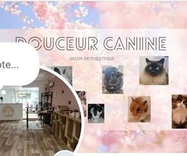 Douceur Canine image 14
