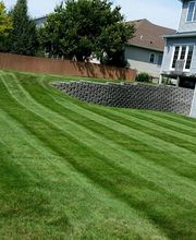 Distinctive Lawn & Landscape image 5