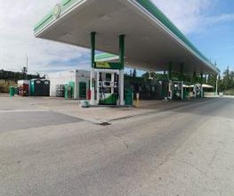 bp imagen 2
