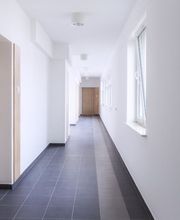 Pinturas Coccaro imagen 20