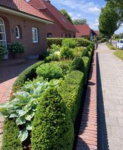 Der Landschaftsgärtner Inhaber Wilfried Tammen e.K. Bild 3