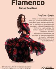 Atelier Danse image 12