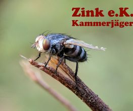 Schädlingsbekämpfung Zink e.K. Bild 1