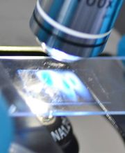 Biolytics Labor für biologische Analysen Bild 1