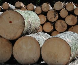 Holz Eschweiler Gmbh Bild 1