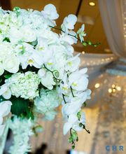 Felicia Events image 9