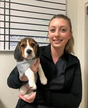 Irvine Valley Veterinary Hospital Emergency image 13