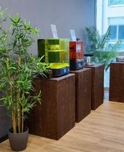 Gallery Cliente