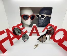 Optique Mangin image 5