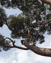 Acrobatic image 7
