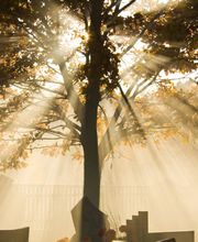 Bestattungsinstitut "Am Schöllberg" Bild 3