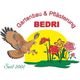 BEDRI GMBH
