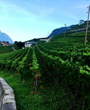 Propriété Veillon Bild 5