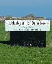 Hof Belvedere Bild 13
