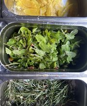 Frische Kräuter und Zitrusnoten gehören zur mediterranen Küche der Tapas Bar Léon in Fürth. Hier wird mit hochwertigen Zutaten, Sorgfalt und echtem Küchenhandwerk gearbeitet.