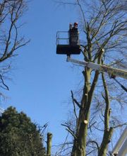 GartenVision Tobias Werner Bild 6