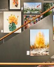 LUMAS Galerie Zürich Bild 7