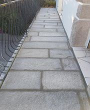 Camus Damien image 4