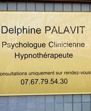 Delphine Palavit image 6