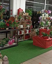 Gamm Vert - Nyons Nature image 3