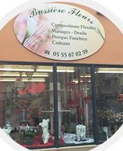 Bussière Thierry image 1