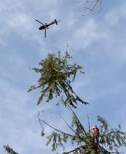 Fuchs Helikopter AG Bild 2