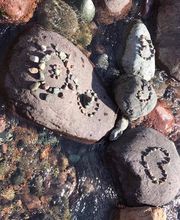 Wisler Brigitte image 5