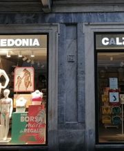 Calzedonia immagine 1