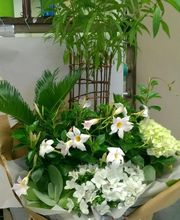 Ets Valette Pesme image 12
