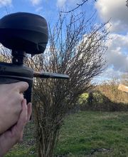 Sebastien Anti Nuisibles image 14