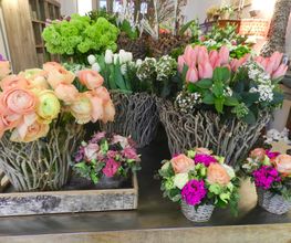Rosanella Blumen Bild 1